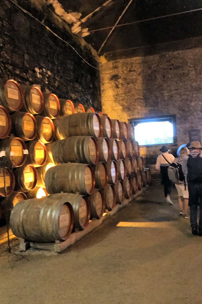 Pacheca Cellars photograph